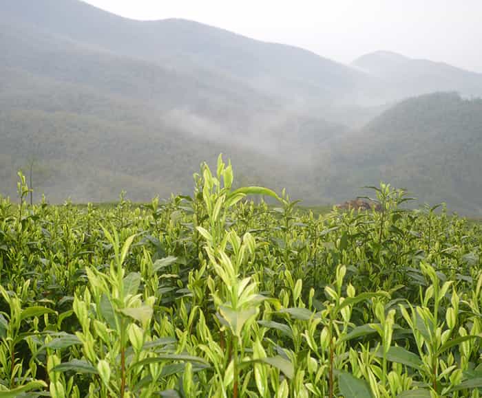 精雕機(jī)的下刀方式有哪幾種？數(shù)控銑床下刀方式又有哪些？
