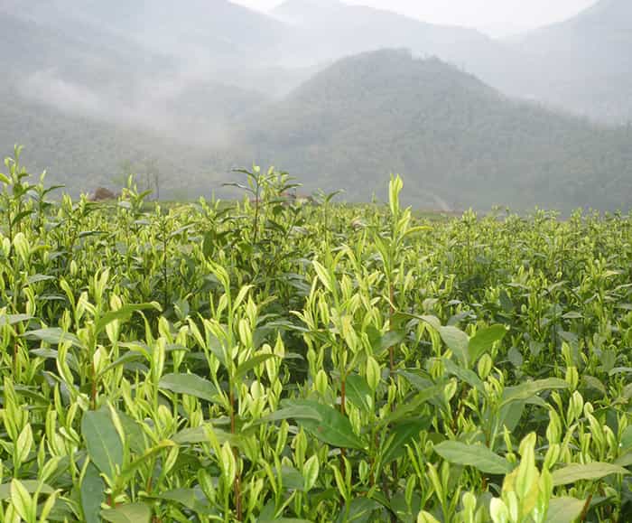 數(shù)控雕刻機(jī)廠家產(chǎn)品為什么有不同型號(hào)？