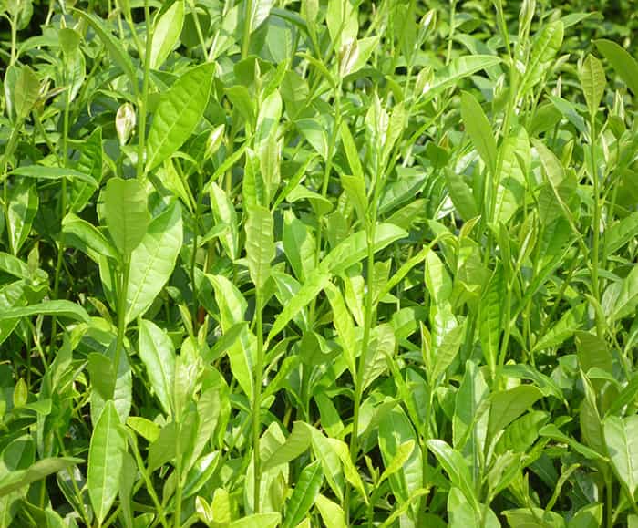 精雕機(jī)廠家告訴你在日常工作中保養(yǎng)非常重要